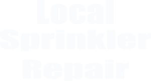 Baytown Irrigation and Sprinkler Repair Logo